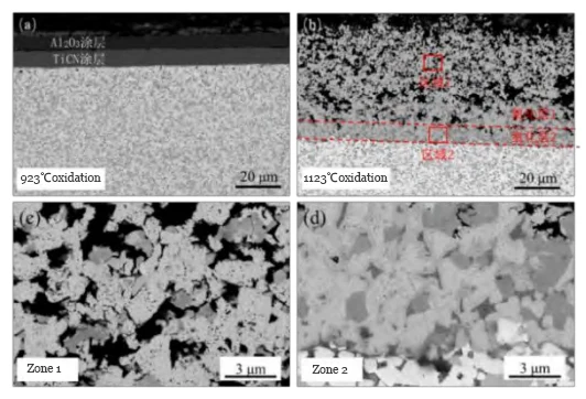 Figure 3 SEM images of the oxidized surfaces of coated tools at different temperatures