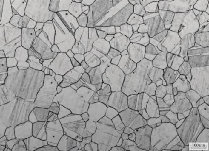 Figure 1 Metallographic diagram Figure 1 Metallographic diagram